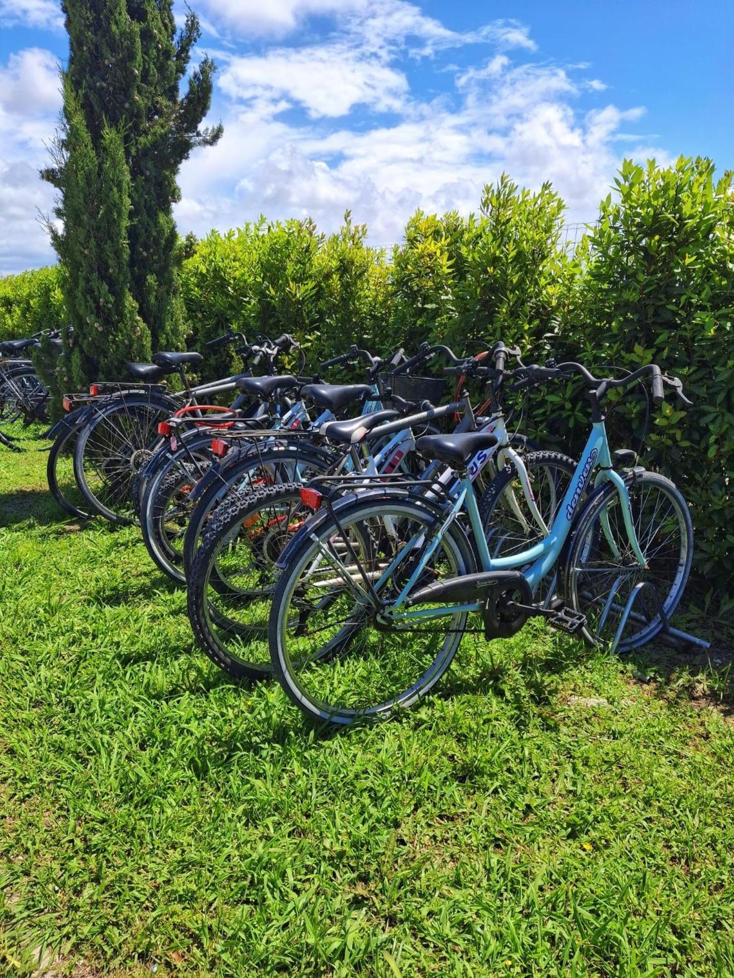 Delfino Tuscany Resort Marina di Cecina Eksteriør billede